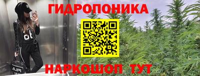 наркотики Аргун