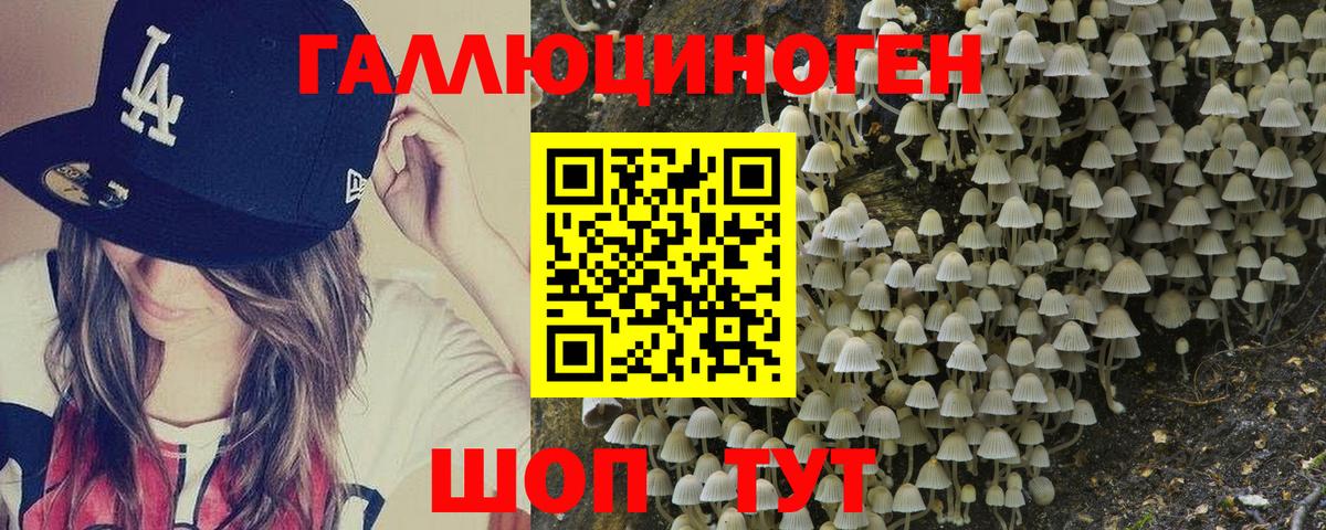 Белореченск  цены   Вход с VPN  Галлюциногенные грибы MAGIC MUSHROOMS 